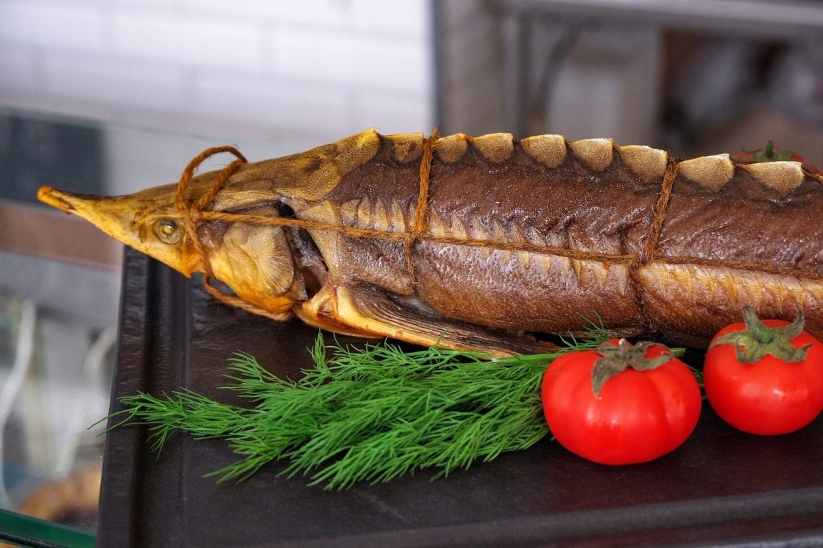 Стерлядь горячего копчения. Стерлядь копченая. Осетр и севрюга горячего копчения. Осетр холодного копчения. Рыба осетрина горячего копчения.